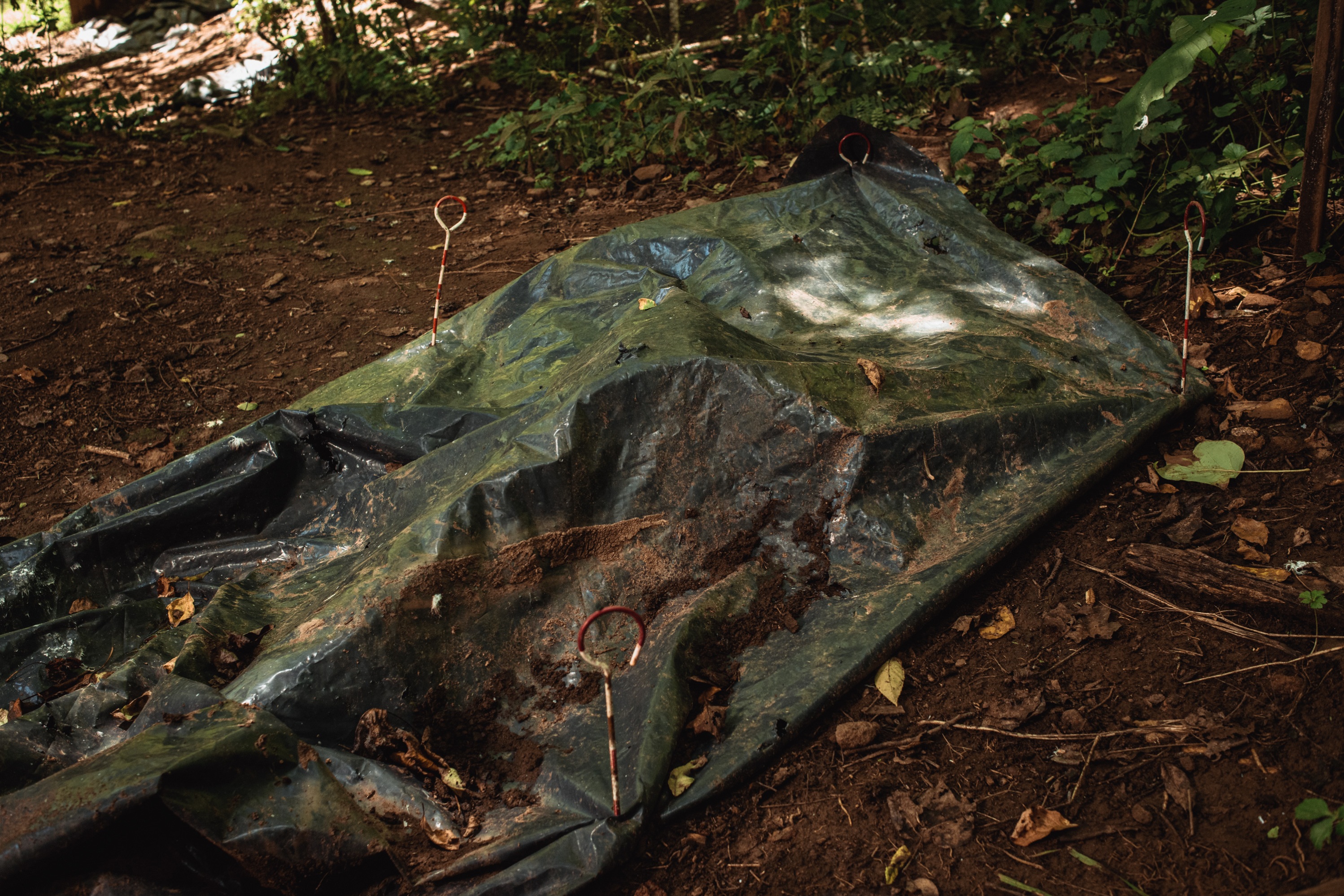 A donor body under a tarp at the decomp facility